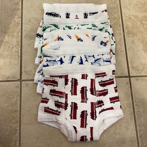 NWOT Hanna Andersson Training Underpants